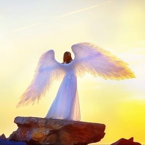 Meet your Posher, Abigail